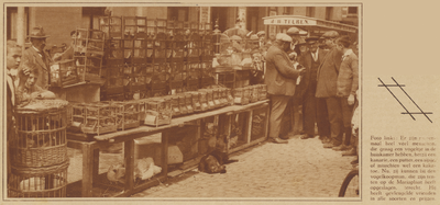 873661 Afbeelding van een vogelkoopman op de 'kleine dierenmarkt' op de Mariaplaats te Utrecht.